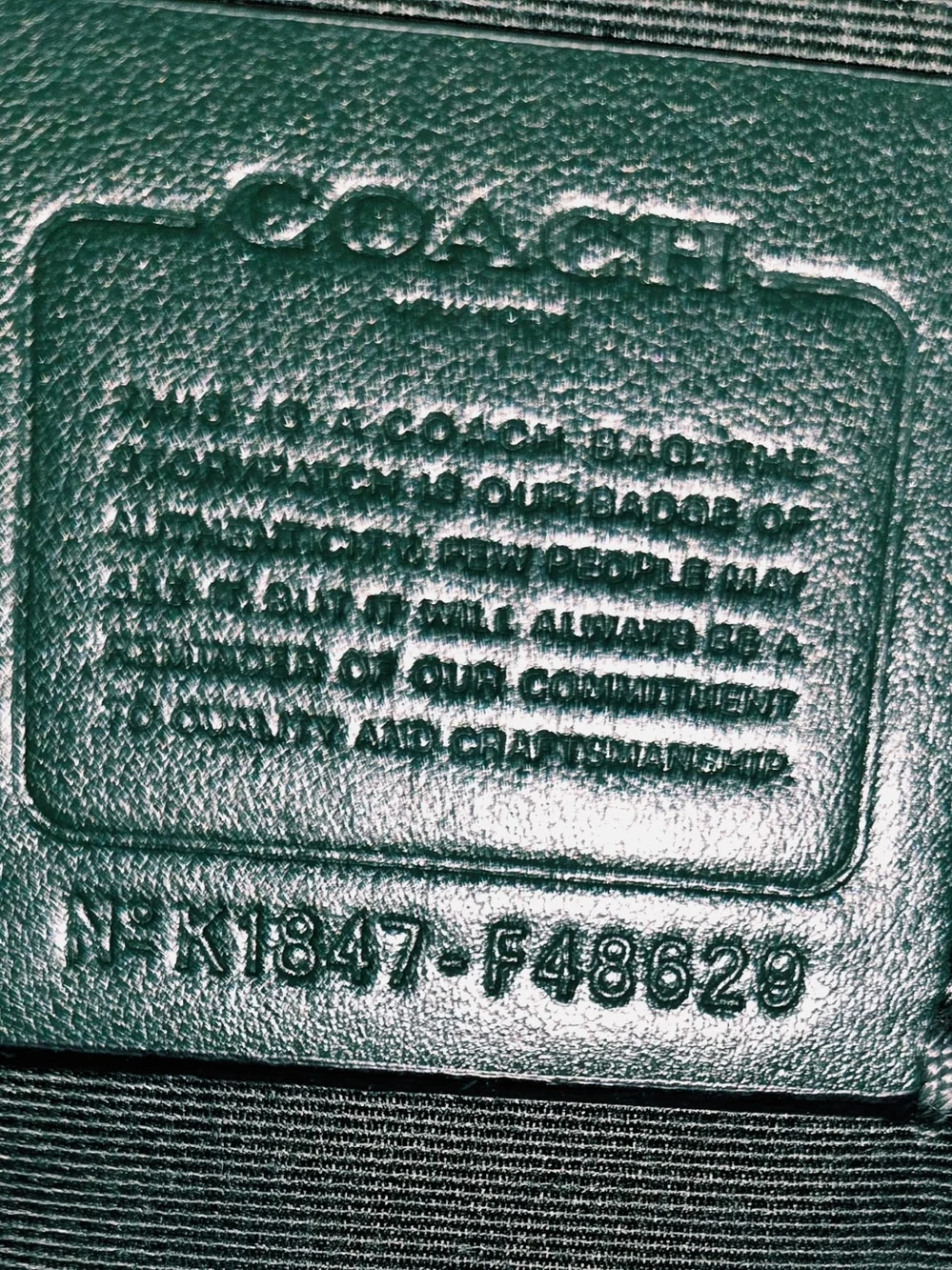 Coach Avary Tote in Ivy Hunter Green (F48629)